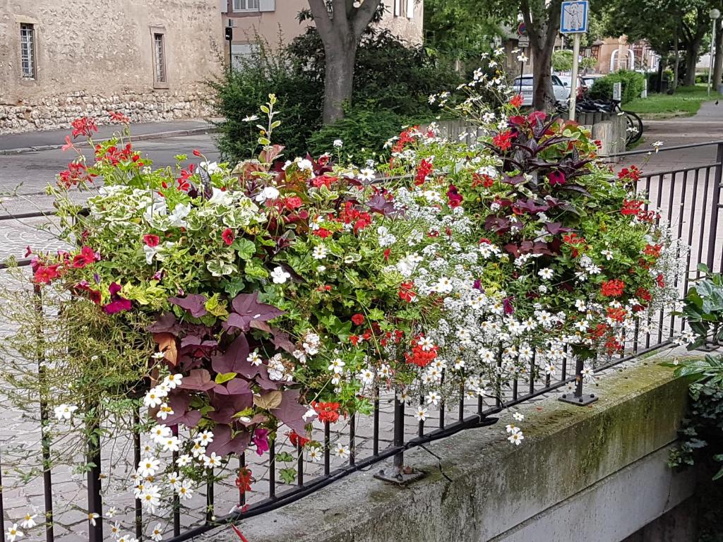 Les Colombages – photo 28