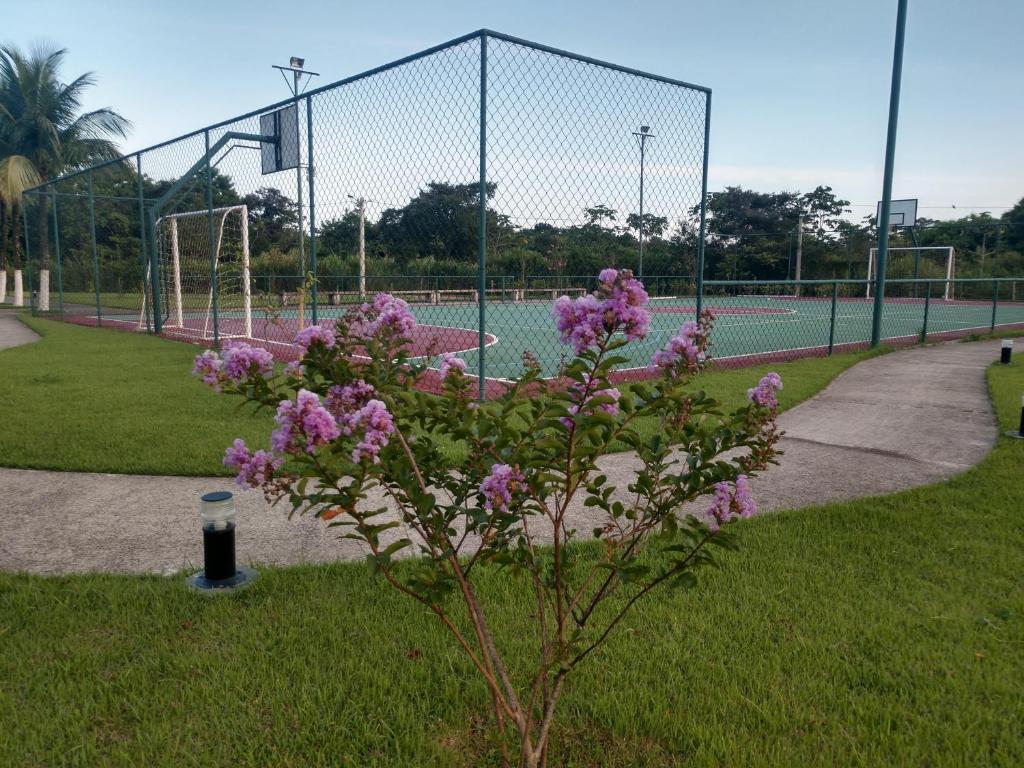  Apartamento Condado Sahy