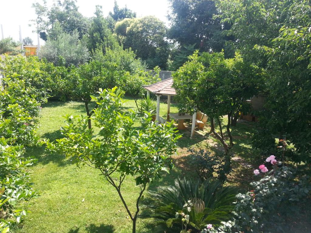 Zahrada ubytování Hotel Capys