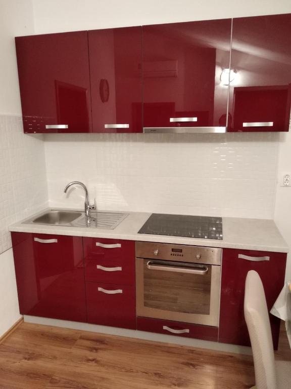 Family apartments Grguric - 海景公寓