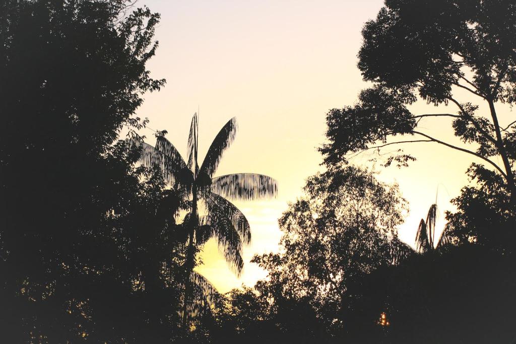  Caboclos House Eco-Lodge