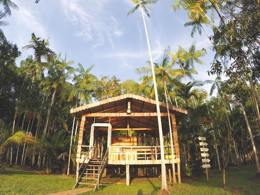 a tree house in a field with palm trees at Caboclos House Eco-Lodge in Manacapuru