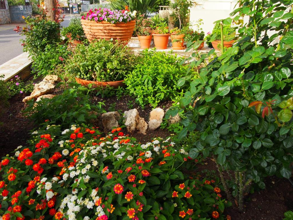 Zahrada ubytování HOTEL STOUPA