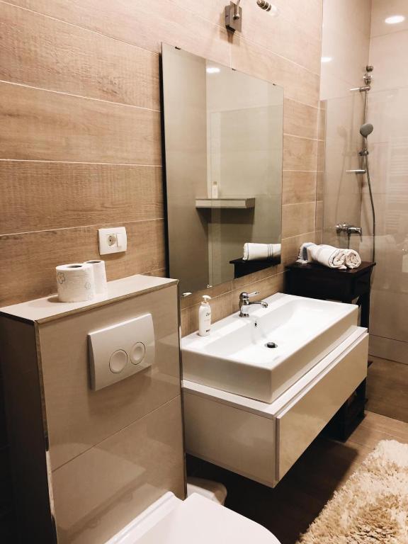 Koupelna v ubytování Visiani apartment