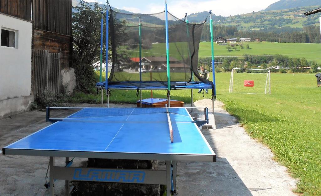 Stolný tenis v ubytovaní Ferienhaus Dankl alebo v jeho okolí