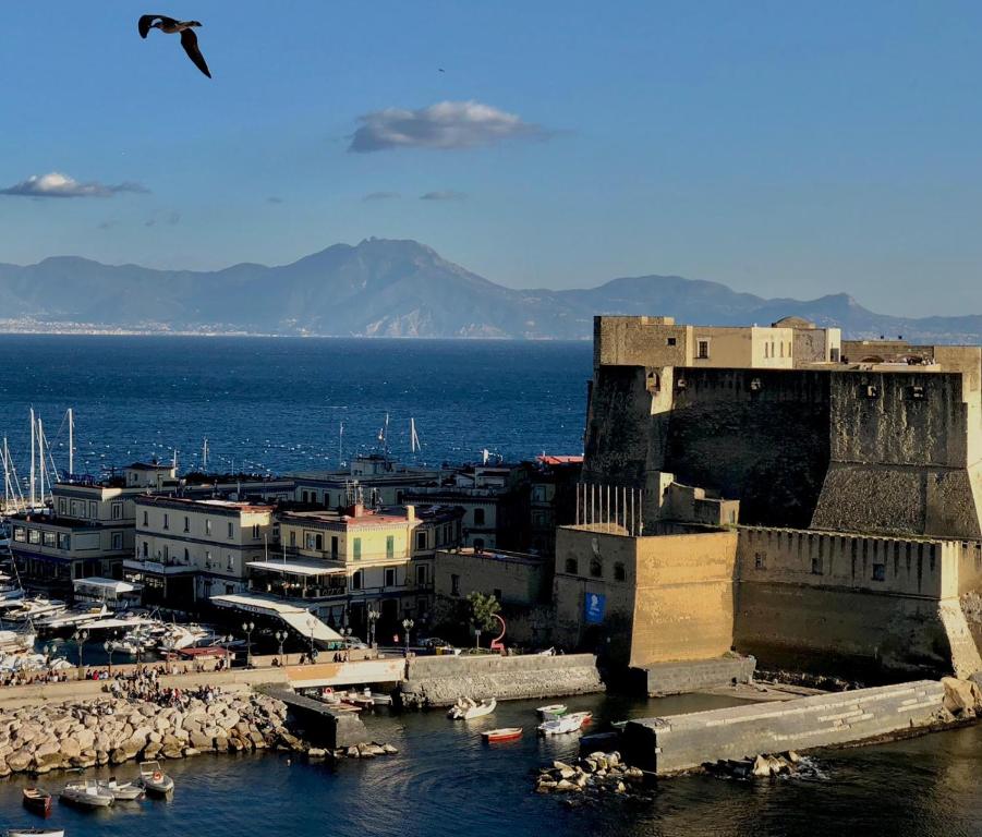 a city with a harbor with boats in the water at Maybritt's Home, rooftop in front of the castle! in Naples