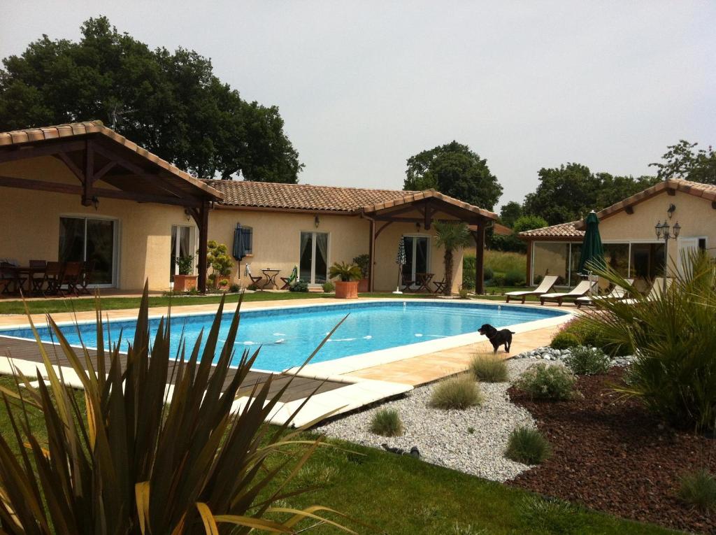 un perro parado frente a una piscina en LE CLOS CASTEL - Gîte équipé en Casteljaloux