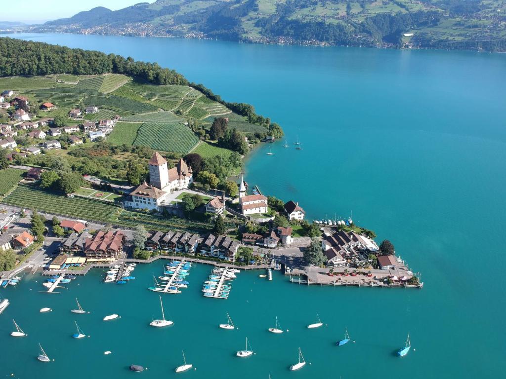 an aerial view of a small island with boats in the water at Hotel Seaside in Spiez
