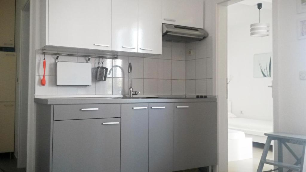 Kuchnia lub aneks kuchenny w obiekcie Apartment Zea