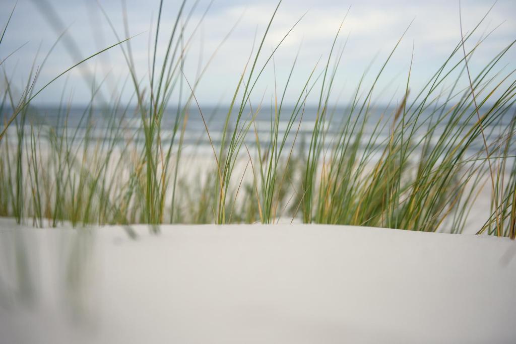 Apartamenty DIAGO - 18