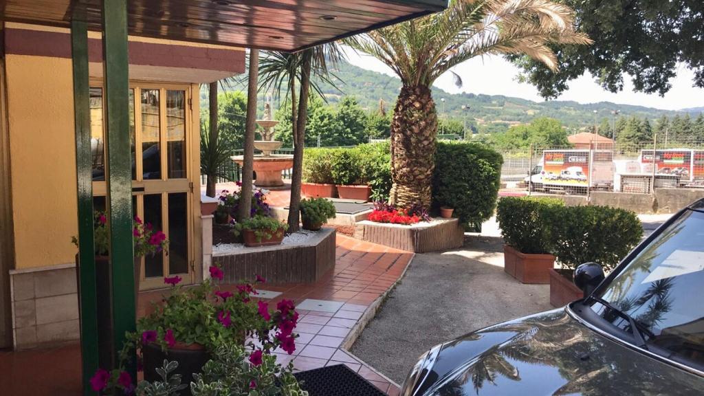 a house with a palm tree and a car at Cristal Hotel in Manocalzati