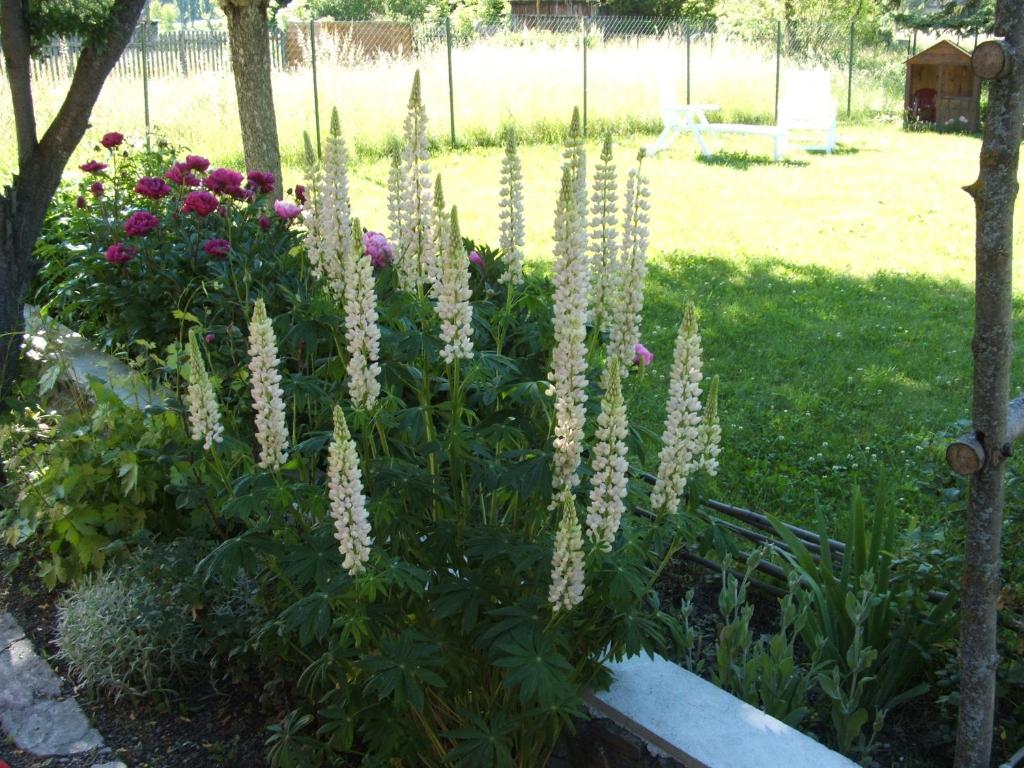 Jardin de l'établissement Maison d' hôtes Tranquyl