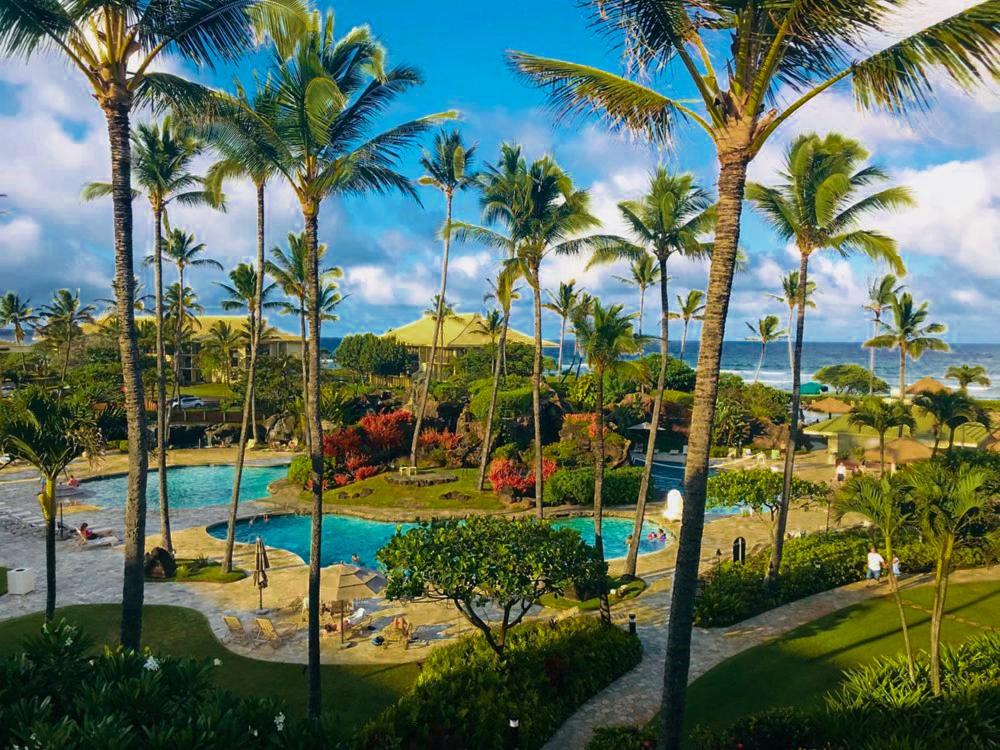 widok na ośrodek z palmami i basenem w obiekcie 2417 at Oceanfront Resort Lihue Kauai Beach Drive Private Condo w mieście Lihue