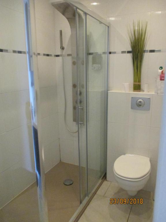 a bathroom with a shower and a toilet at Port nature in Cap d'Agde