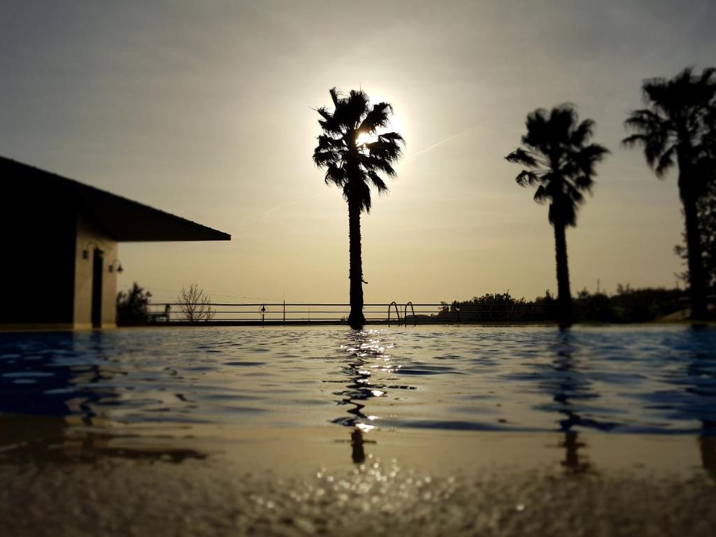 Piscine de l'établissement Palacio São Silvestre-Boutique Hotel ou située à proximité