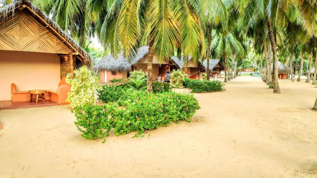 un complejo con un montón de palmeras en una playa en Roshanne Beach Resort, en Kalpitiya