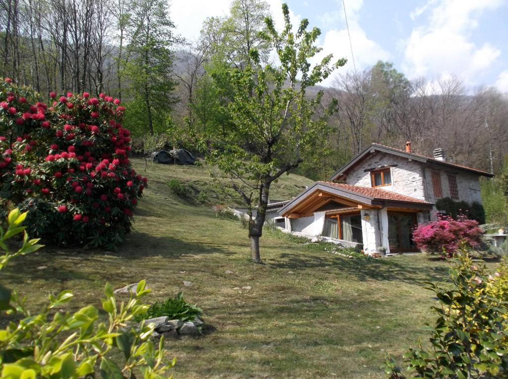 Ogród w obiekcie Bellissimo Rustico A 7 km Dal Lago D'Orta