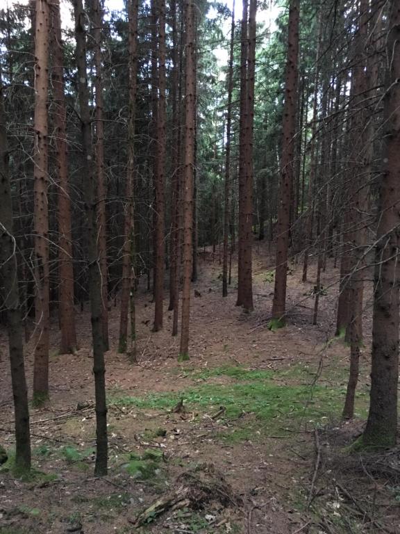 Loodusmaastik apartemendi lähedal