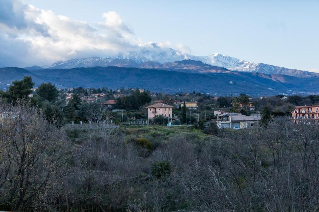 Gli Ulivi Dell'Etna - Suite Con Terraza