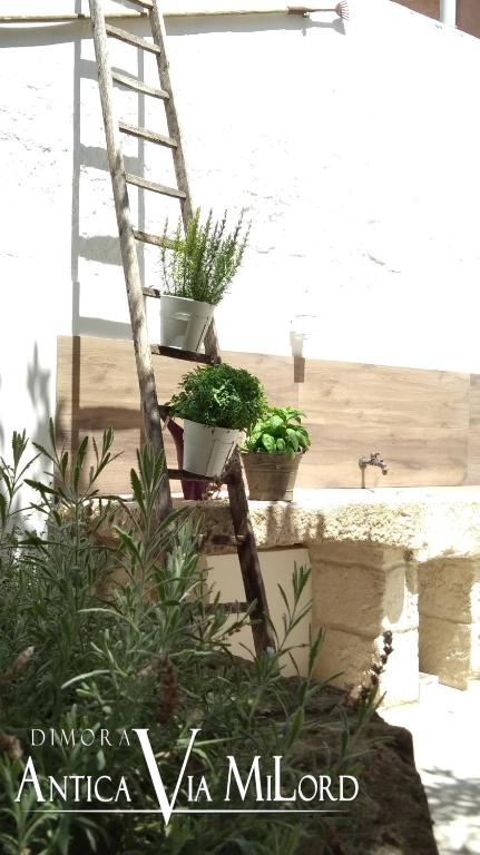 Dimora Antica Via MiLord - 16