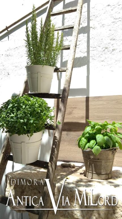 Dimora Antica Via MiLord - 19