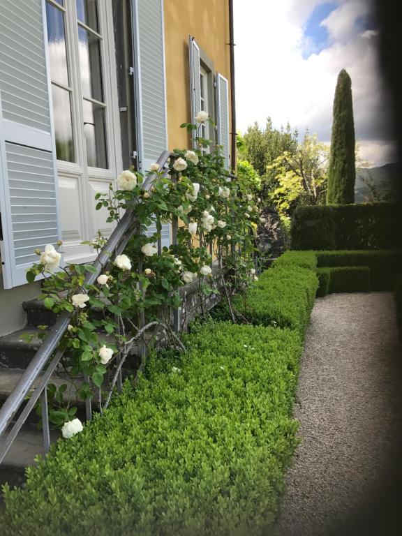 Zahrada ubytování Villa Colletto