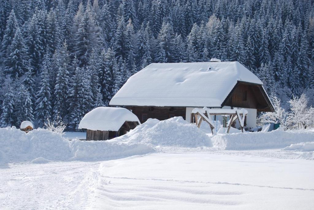 Ferienhaus Gobald v zimě