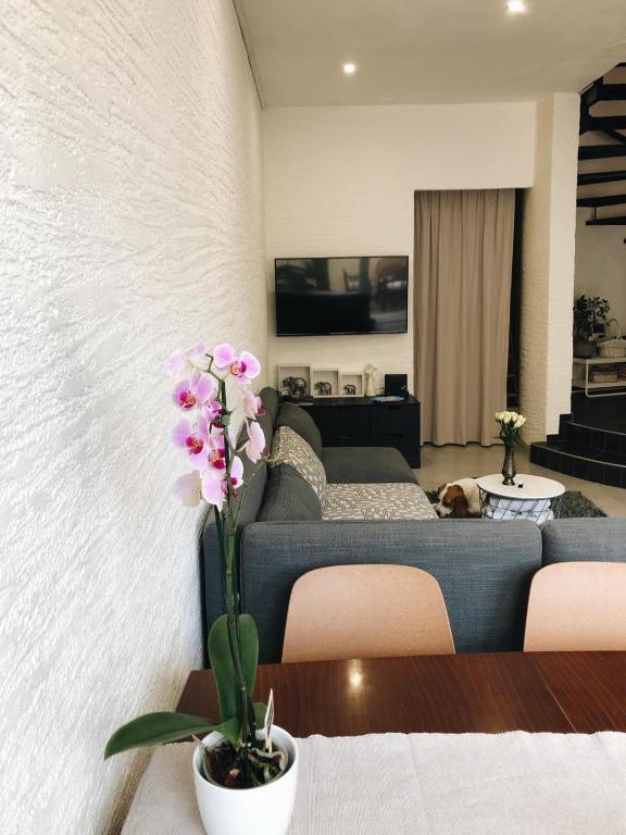 TV a/nebo společenská místnost v ubytování Visiani apartment