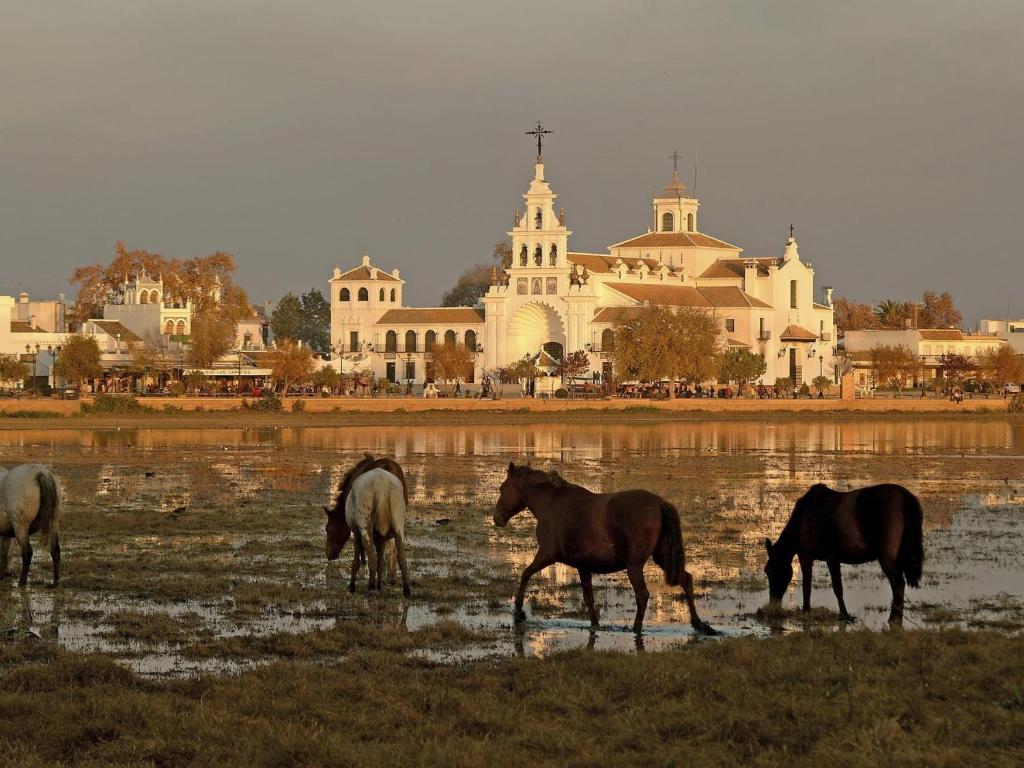 a group of horses grazing in a field in front of a building at Alojamiento Rural Flamingo in El Rocío