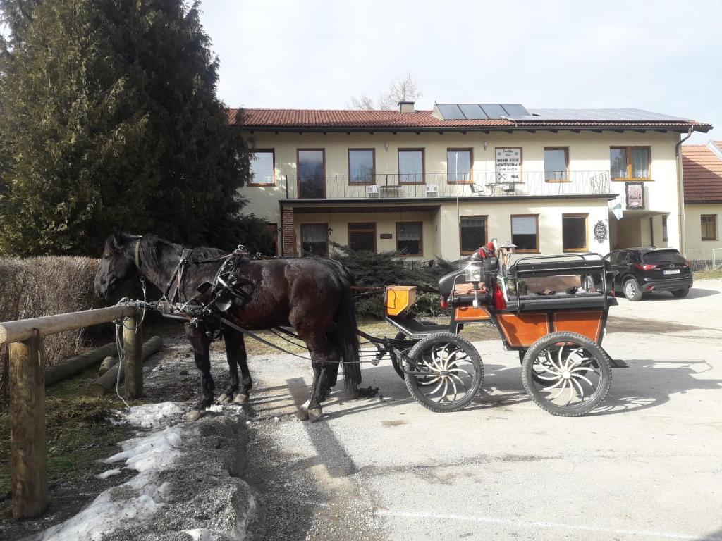 Fotografie z fotogalerie ubytování Dorfwirtshaus Rauch v destinaci Eschabruck