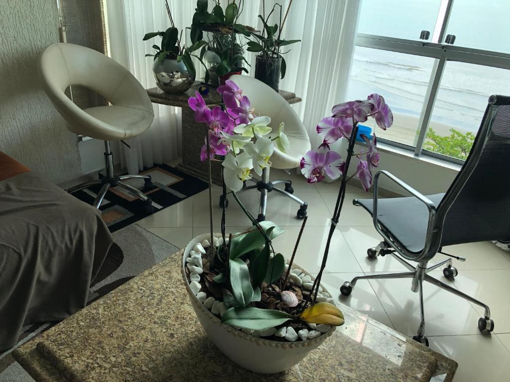  Baln Camboriu - Beira mar