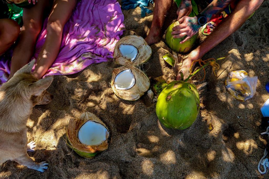 Fotografie z fotogalerie ubytování Efrena Agro Tourism Beach v destinaci El Nido