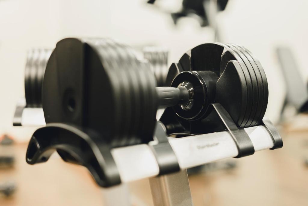 Fitness centrum a/nebo fitness zařízení v ubytování Residence Hotel