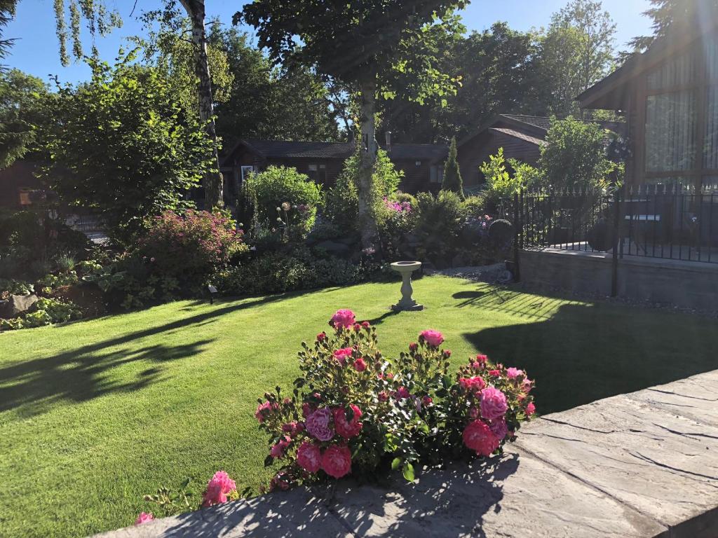 Zahrada ubytování Otter Lodge Auchterarder