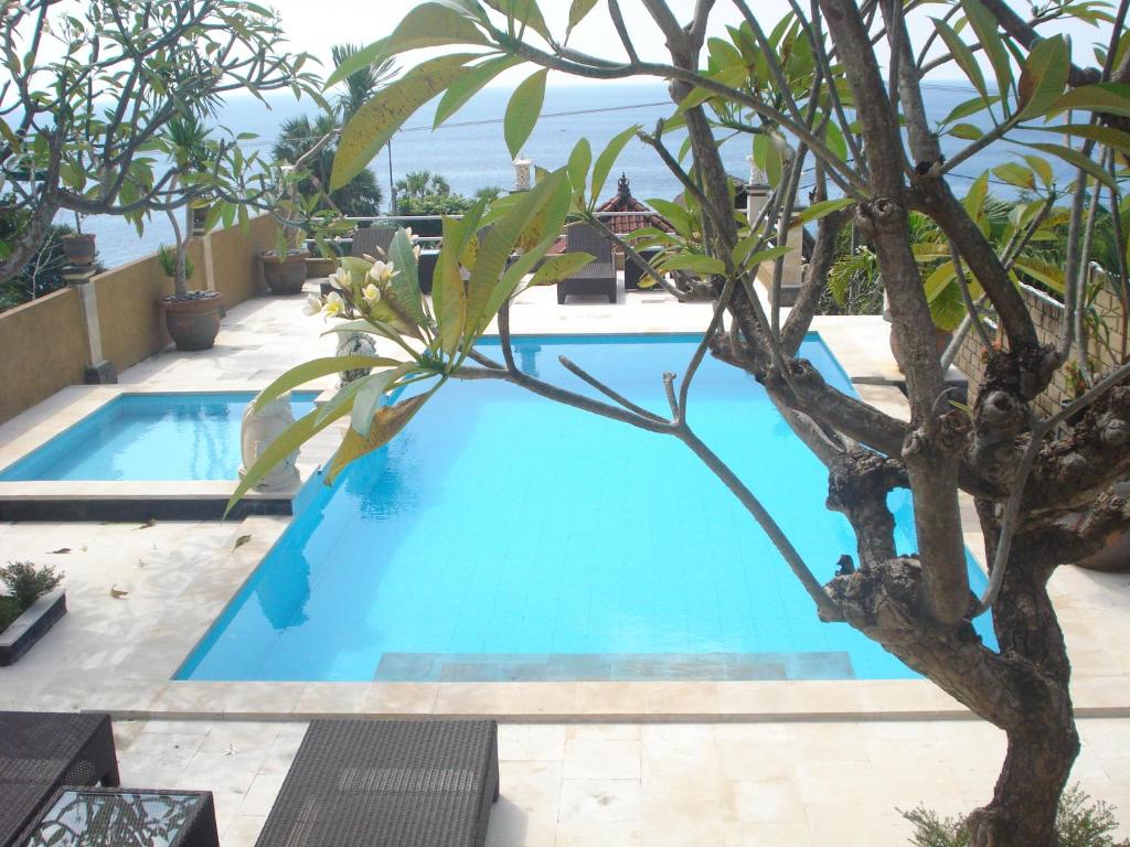 a blue swimming pool with a tree in the foreground at Barong Cafe Bungalow and Restaurant in Amed