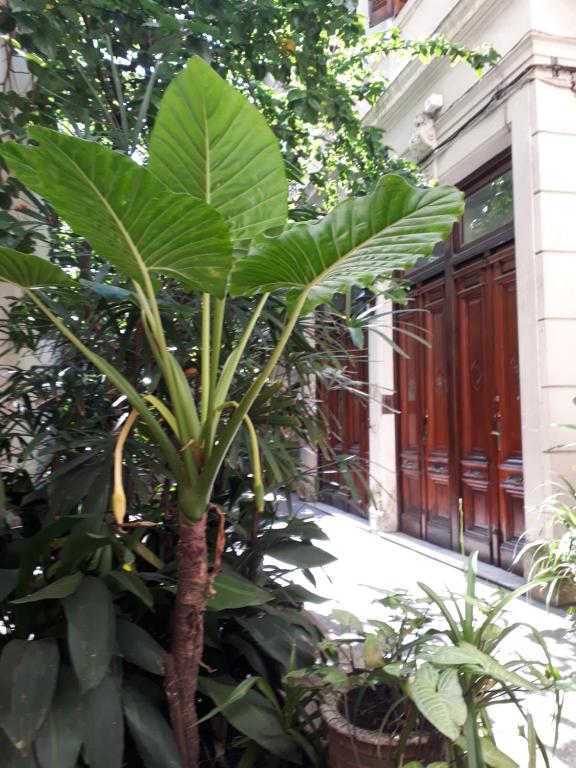Foto de la galeria de Buenos Aires Centro a Buenos Aires