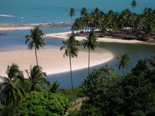 a beach with palm trees and the ocean at Flats das Marias in Jequia da Praia