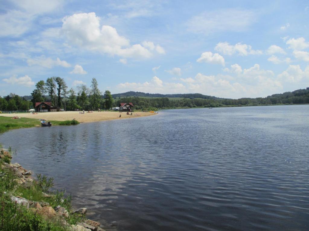 a large body of water with people on the beach at Apartmán Petra in Horní Planá