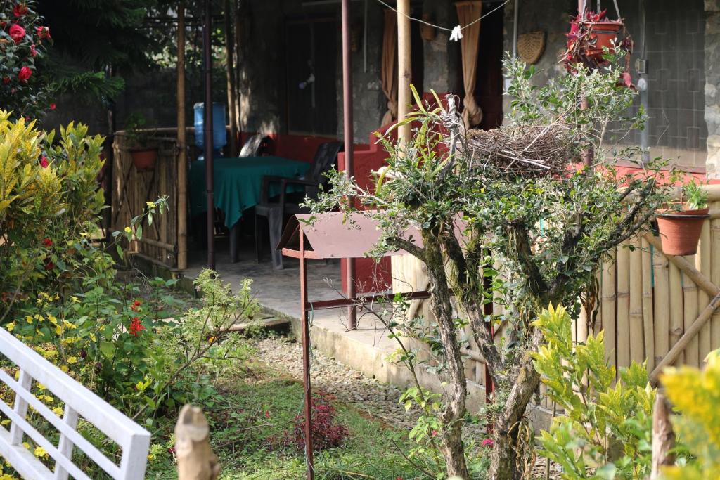 Jardí fora de Gurkha Lodge