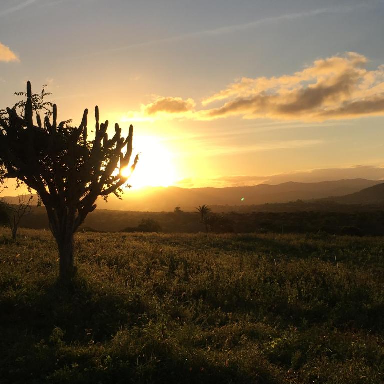  Monte Castelo - Flat