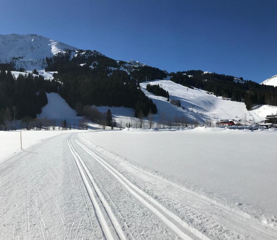 Alpinplus v zimě