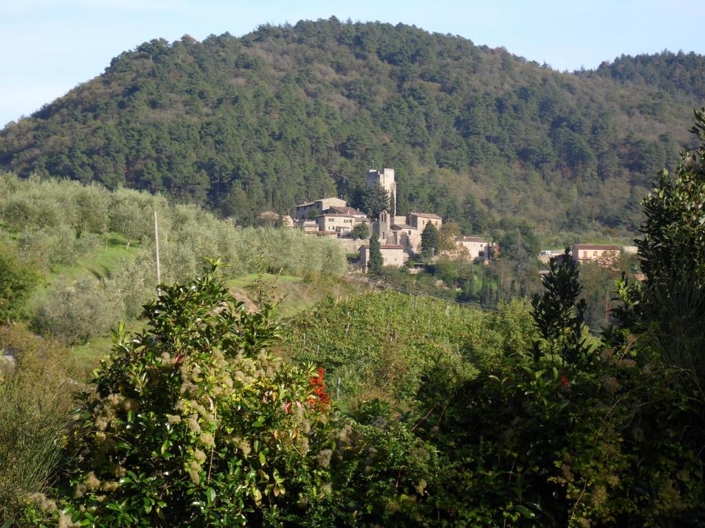 Príroda v okolí of the country house