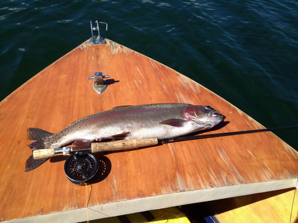 Rainbow Motel & Hot Pools - Resim 20