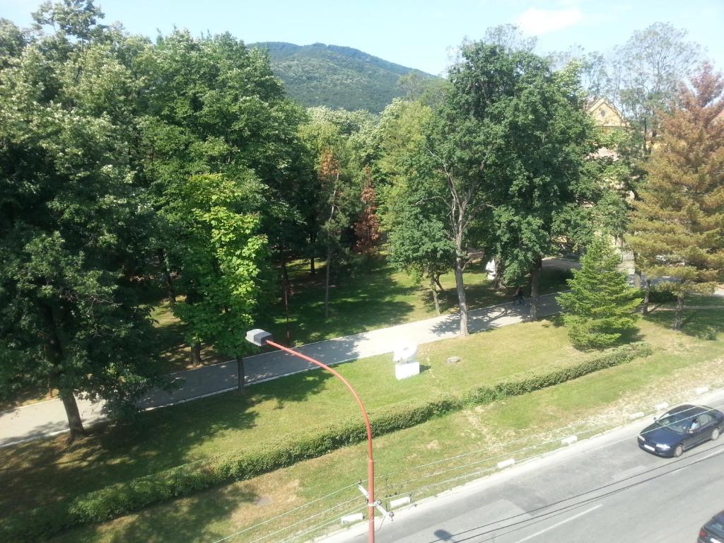 Příroda nedaleko apartmánu