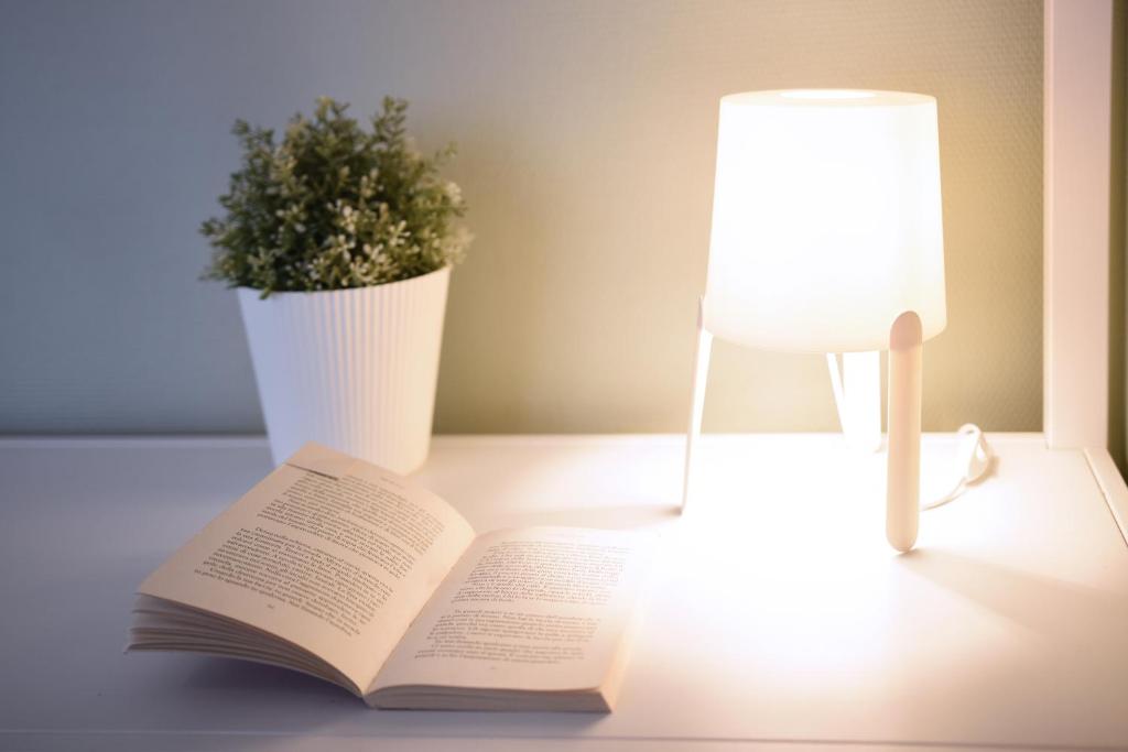 a book on a table with a lamp and a potted plant at Fabrì 171 in Pescara
