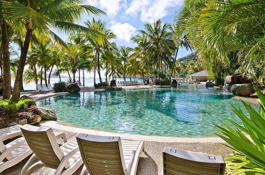 a large swimming pool with chairs and palm trees at Hibiscus 006 - Hamilton Island in Hamilton Island