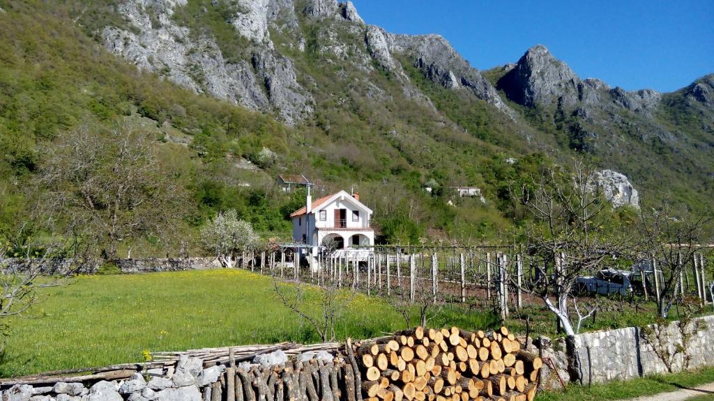 a house in a field with a mountain at Vacation home in Virpazar