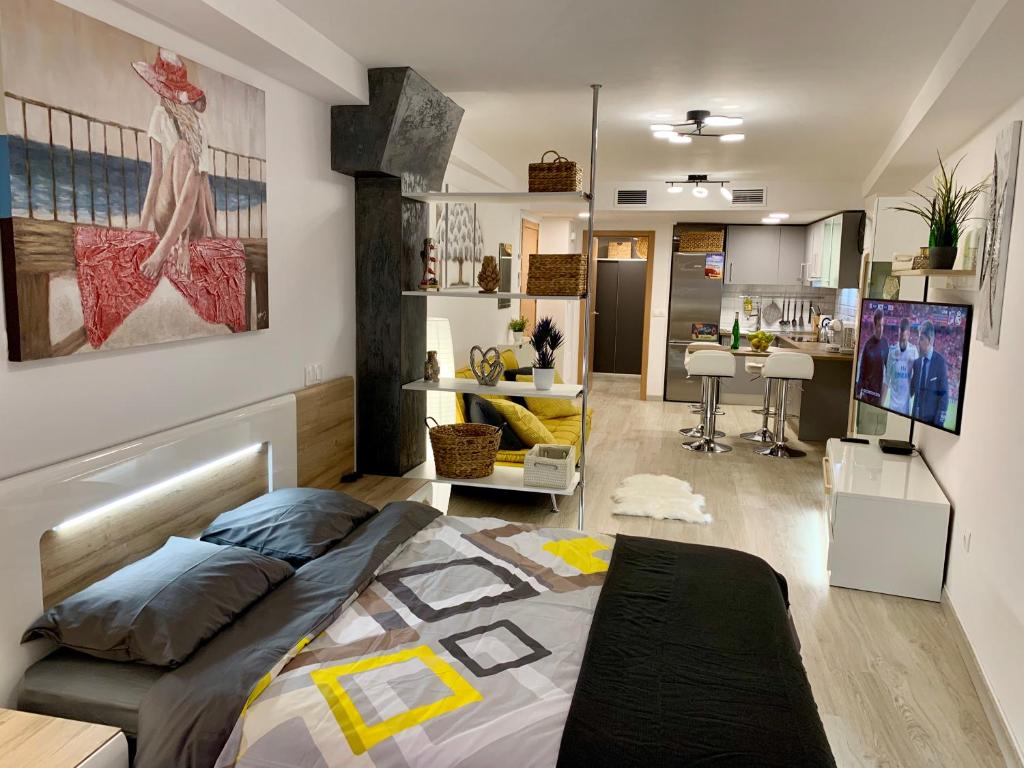 TV a/nebo společenská místnost v ubytování Dream Loft Old city center