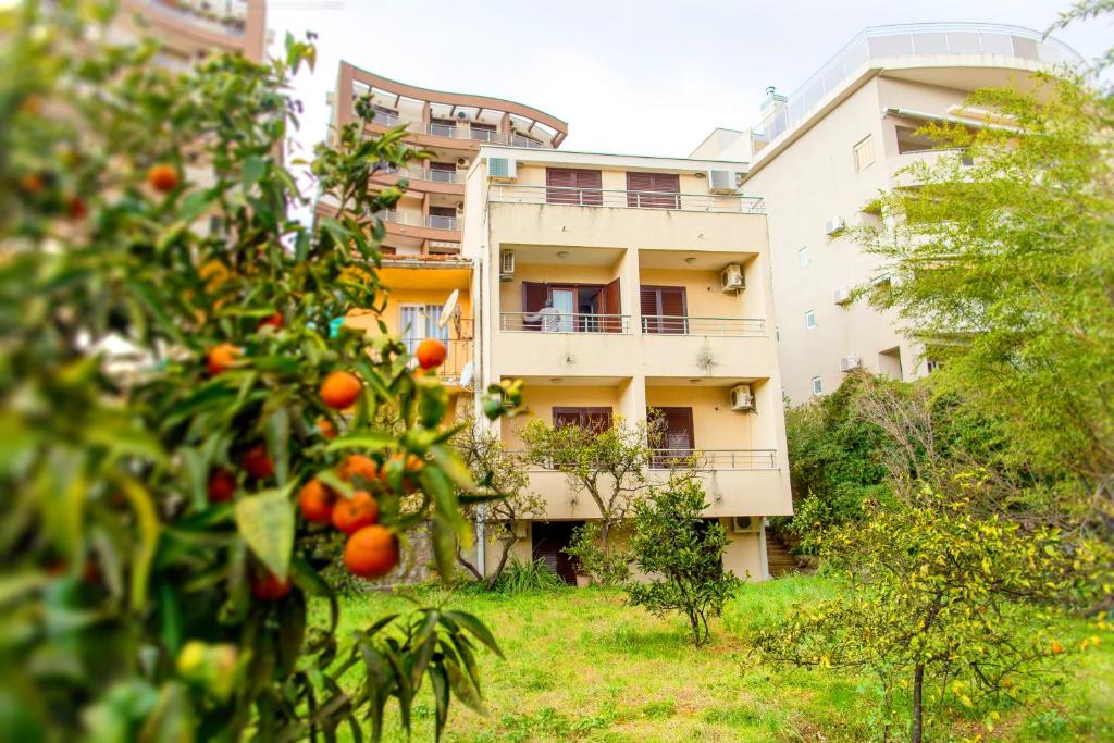 an orange tree in front of a building at Guest House Mandarina in Budva