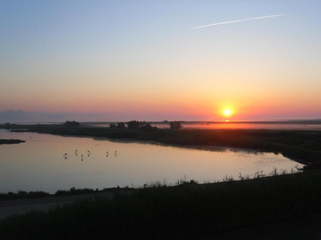 un tramonto su un fiume con uccelli in acqua di chambre les flamants vue sur les étangs petit déjeuner compris a Saintes-Maries-de-la-Mer